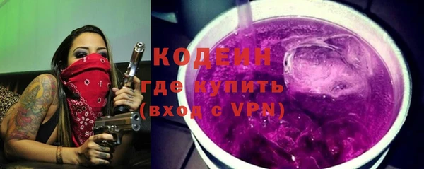 ГАЛЛЮЦИНОГЕННЫЕ ГРИБЫ Михайлов