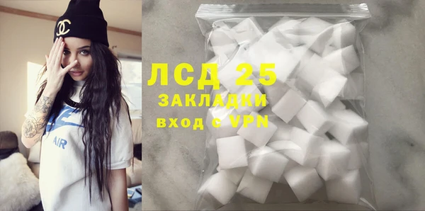 ГАЛЛЮЦИНОГЕННЫЕ ГРИБЫ Михайлов