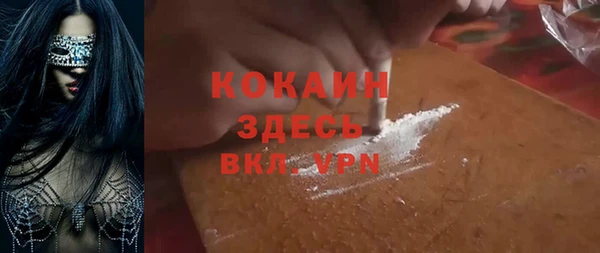 ГАЛЛЮЦИНОГЕННЫЕ ГРИБЫ Михайлов