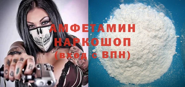ГАЛЛЮЦИНОГЕННЫЕ ГРИБЫ Михайлов