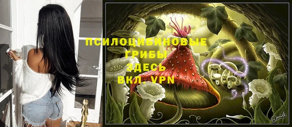 твердый Михайловка