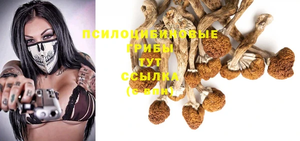 ГАЛЛЮЦИНОГЕННЫЕ ГРИБЫ Михайлов